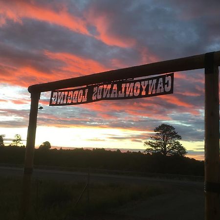 Lupine Cabin, Glamour Camping, Stunning Skies And Sunrise Views Monticello Extérieur photo
